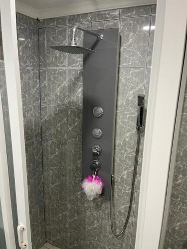 a shower with a shower head in a bathroom at Valparaiso's Best in Valparaíso