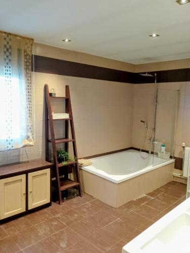 a bathroom with a bath tub with a ladder and a shower at Los Rosales de la Charca in Pegalajar