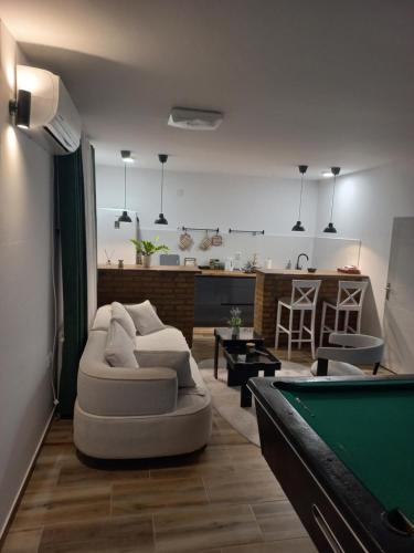 a living room with a pool table and a couch at Vila Pogled in Novi Sad