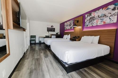 two beds in a hotel room with purple walls at La Quinta Inn by Wyndham Amarillo Mid-City in Amarillo