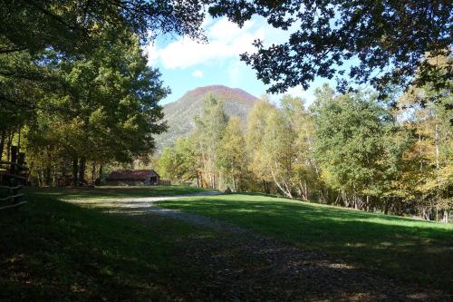 a green field with trees and a barn in the distance at Les Cabanes De Pyrene in Cazarilh