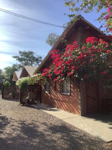 a house with red flowers on the side of it at Pousada Tarumã challes 3 in Bonito