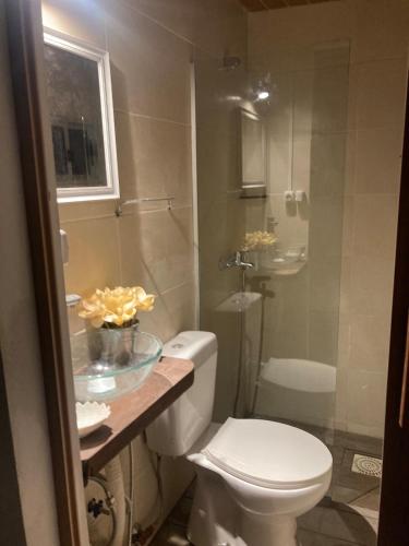 a bathroom with a toilet and a shower at Apartamento en el jardín in Treinta y Tres
