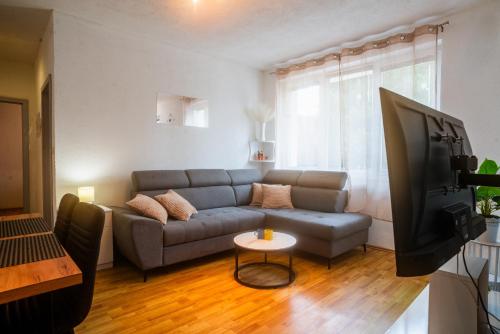 a living room with a couch and a tv at Apartman Gnječ Kupres in Kupres