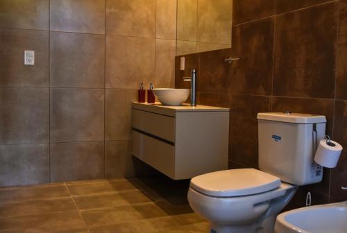 a bathroom with a toilet and a sink at Mahuida Lodge Valle de Uco in Colonia Las Rosas