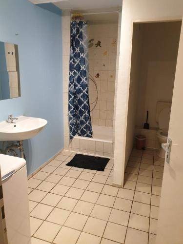 a bathroom with a shower and a toilet and a sink at Appartement le Sourire in Neumünster