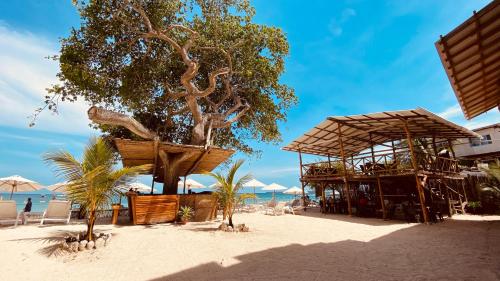 une plage avec des parasols et un arbre sur la plage dans l'établissement Rocha Beach Club, à Playa Blanca