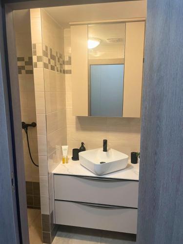 Koupelna v ubytování Moderní apartmán Vila Domus