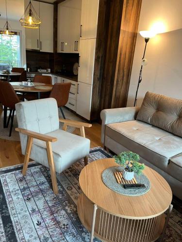 a living room with a couch and a table at Bjelasnica Family Peak Villa Monti in Babin Do