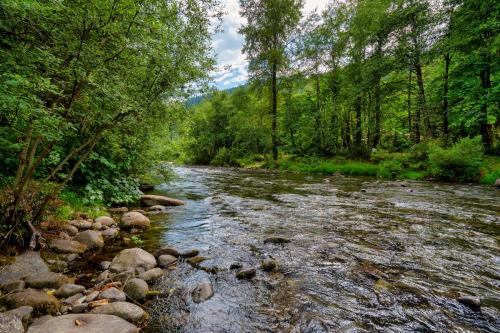 WelchesにあるRiverfront Retreat - Mt Hood Views Sleeps 4の岩と木の流れ