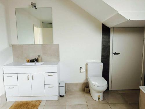 a bathroom with a toilet and a sink and a mirror at Young unit4 On the Lake in Nagambie