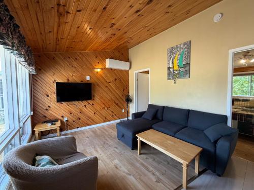 un soggiorno con un divano blu e una TV di Stanhope Cottages a Stanhope