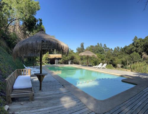 a swimming pool with a umbrella and a chair next to it at Reserva los Bollenes in Constitución