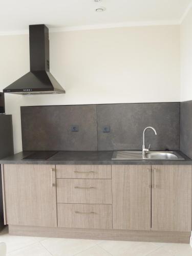 une cuisine avec un évier et un plan de travail dans l'établissement Appartement vue sur mer, à Santa-Maria-di-Lota