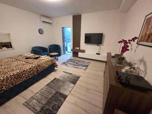 TV a/nebo společenská místnost v ubytování Apartmani relax