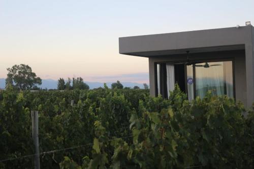 a vineyard with a building in the middle of a field at ENTREVID suites & spa in Anchoris