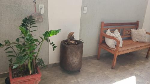 a bench and a potted plant next to a chair at Pousada Plantar e Cuidar in Santa Cruz do Escalvado