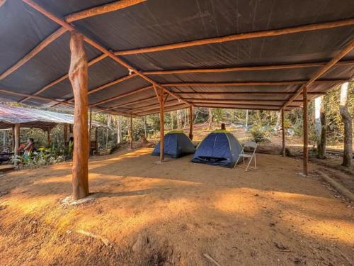 two tents sitting under a large roof in a field at Camping Vida Longa in Angra dos Reis