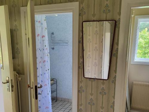 a bathroom with a shower and a mirror at Cozy Getaway near Forest and Lake in Insjön
