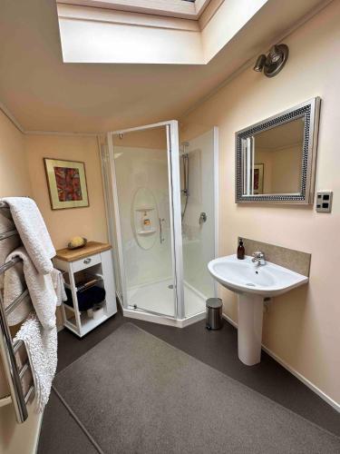 a bathroom with a shower and a sink at Hawkshead Boutique Studio & Gardens in Makarora