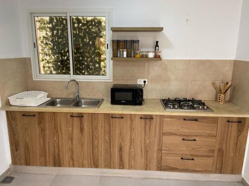 a kitchen with a sink and a microwave at Dar Aissa in El Maamoura