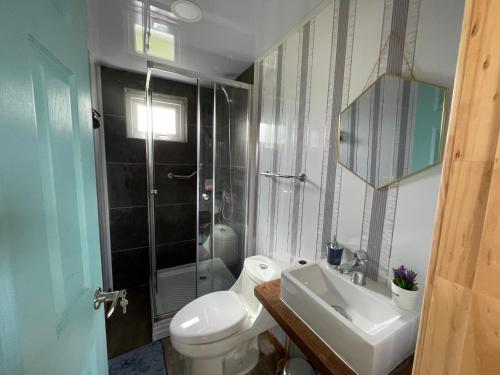 a bathroom with a toilet and a sink and a shower at Cabañas Los Aromos de Puerto Varas in Puerto Varas