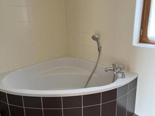 a bath tub with a shower in a bathroom at Gîte La Huzarde: Havre de paix en nature, Allier - FR-1-489-599 in La Faye