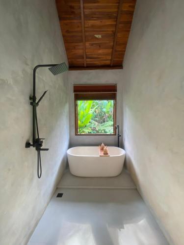 Ένα μπάνιο στο Antav Mesare