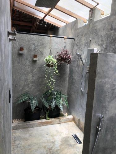 a bathroom with potted plants on the wall at Private villa with pool, sunset view, solar powered in Siquijor