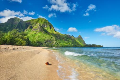 a sandy beach with a mountain in the background at Simple & Fun Rooftop Camper SUV Gear-Included Glamping Adventure in Kauaʻi in Anahola