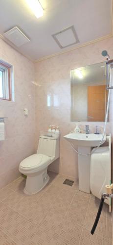 une salle de bain avec toilettes et lavabo dans l'établissement 제주다움 힐링펜션, à Kŭmnŭng-ni