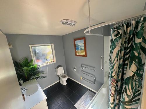 a bathroom with a toilet and a sink and a shower at Wheatstone Hideaway in Gisborne