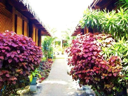 Κήπος έξω από το Muri Beach Hideaway - Adults Only