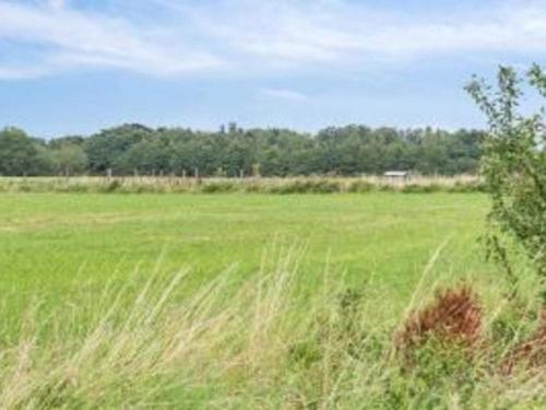 a field of green grass with trees in the background at Luxury Wellness Retreat - By Traum Ferienwohnungen in Stege
