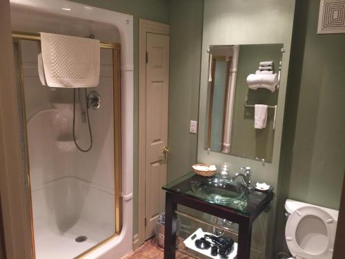 a bathroom with a shower and a sink and a toilet at Grey Rose Suites in Hanover