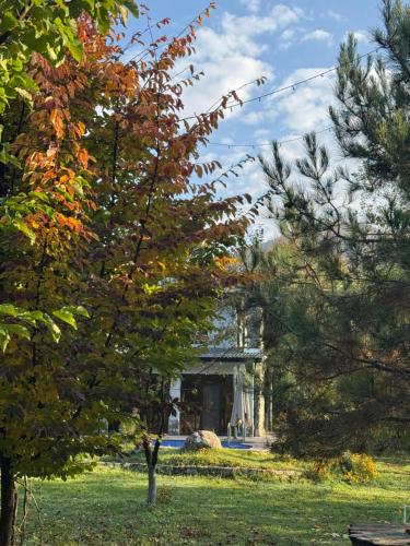 a building in the middle of a park with trees at Istisu Valley Spa in İsmayıllı