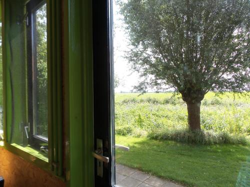 a window with a view of a tree in a field at De Horizon, slapen in hutten in Kloosterburen