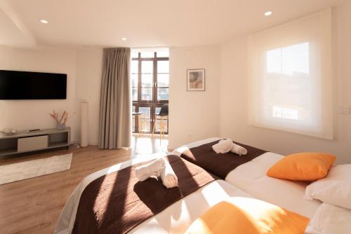 ein Schlafzimmer mit einem großen Bett und einem Fernseher in der Unterkunft ALAIA ROOMS, Apartamentos Turísticos 0003 in Logroño