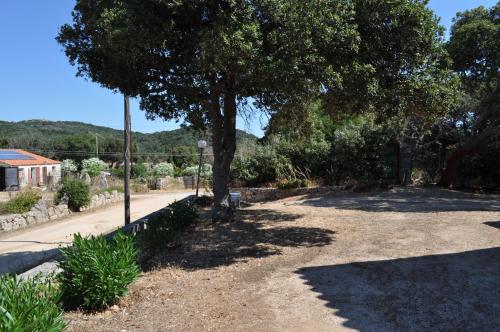 Gallery image of Agriturismo Vaddidulimu in Luogosanto
