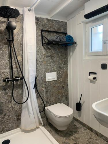 a bathroom with a shower with a toilet and a sink at La maison du pêcheur in Dolus d'Oléron