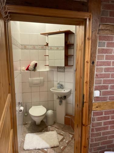 a small bathroom with a toilet and a sink at Altes Landhaus Oste, Klavier Appartement, 2 Zimmer mit Kamin in Hemmoor