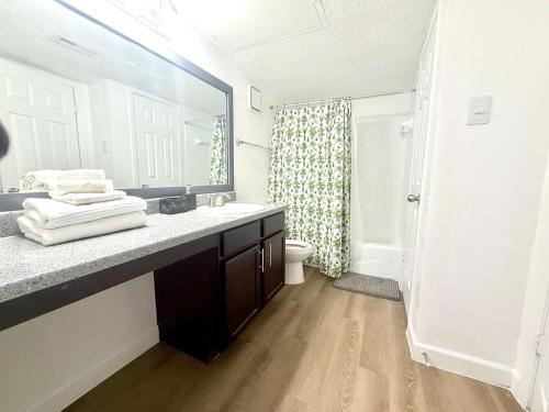 a bathroom with a sink and a toilet and a mirror at Luxe, Family Friendly, Spacious & Private Entrance in Addison