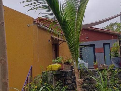 Billede fra billedgalleriet på gîte de rando haut i Mato Correia