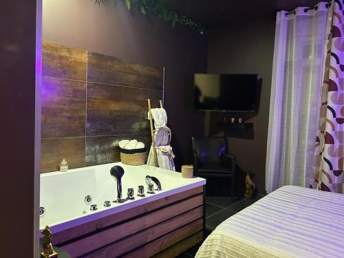 a bathroom with a tub with a tv and a bed at Appartement Romantique Exceptionnel in Lorette