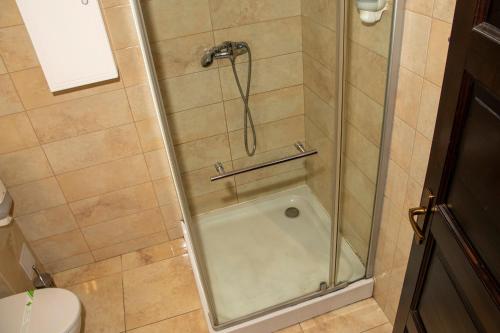 a shower with a glass door in a bathroom at Amadé Pension in Siculeni