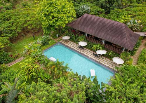 an overhead view of a pool with umbrellas and a house at Hidden Gardens Resort, Davao in Davao City