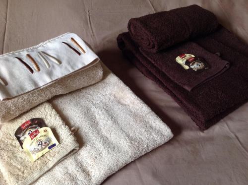 ein Paar Handtücher und ein Handtuchwärmer auf einem Bett in der Unterkunft Charming parisian rooftop ! 120m2 for 8 people in Saint-Mandé