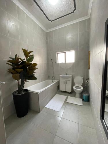 a bathroom with a tub and a toilet and a plant at The Siblings Legacy Hotel in Palatswe
