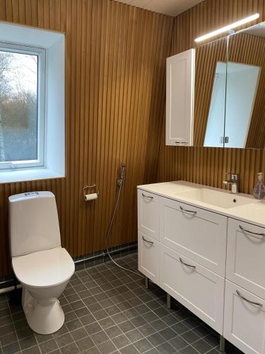 a bathroom with a toilet and a sink and a mirror at Idyllic Charm- with a moat! in Kangasala