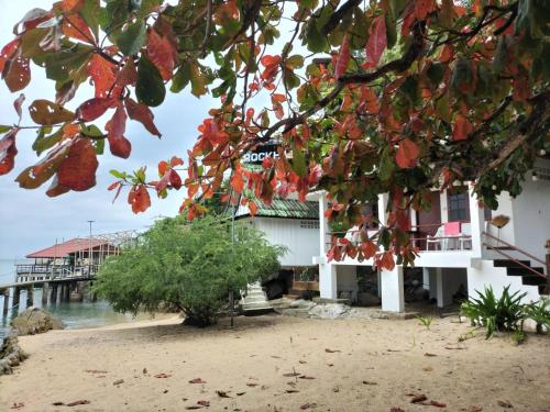 a building on the beach with a pier in the background at Laem Klong sae view in Koh Tao